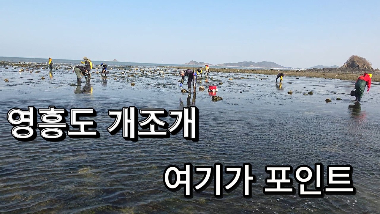 영흥도 개조개  해루질 근황~!! 다른 곳으로 가세요~~!