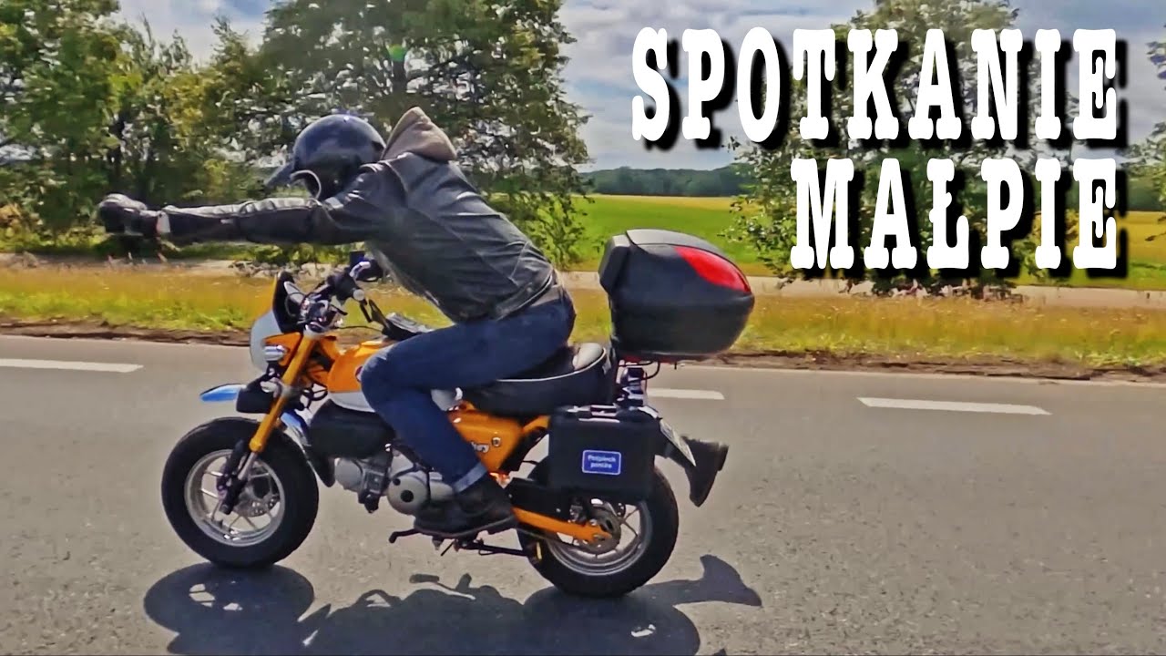 Dzień 32 | mega spotkanie!! | tyle Małpek w jednym miejscu | warszawski spęd