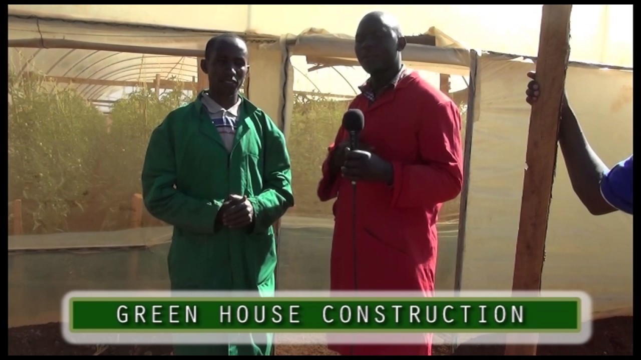 GREEN HOUSE CONSTRUCTION - farmers check kts tv kenya