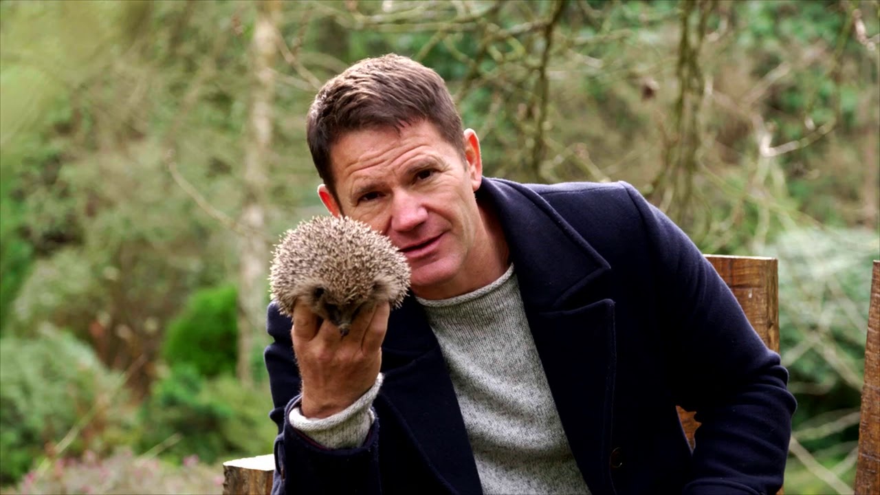 Saving Britain's Hedgehogs | 5 Hedgehog Tips
