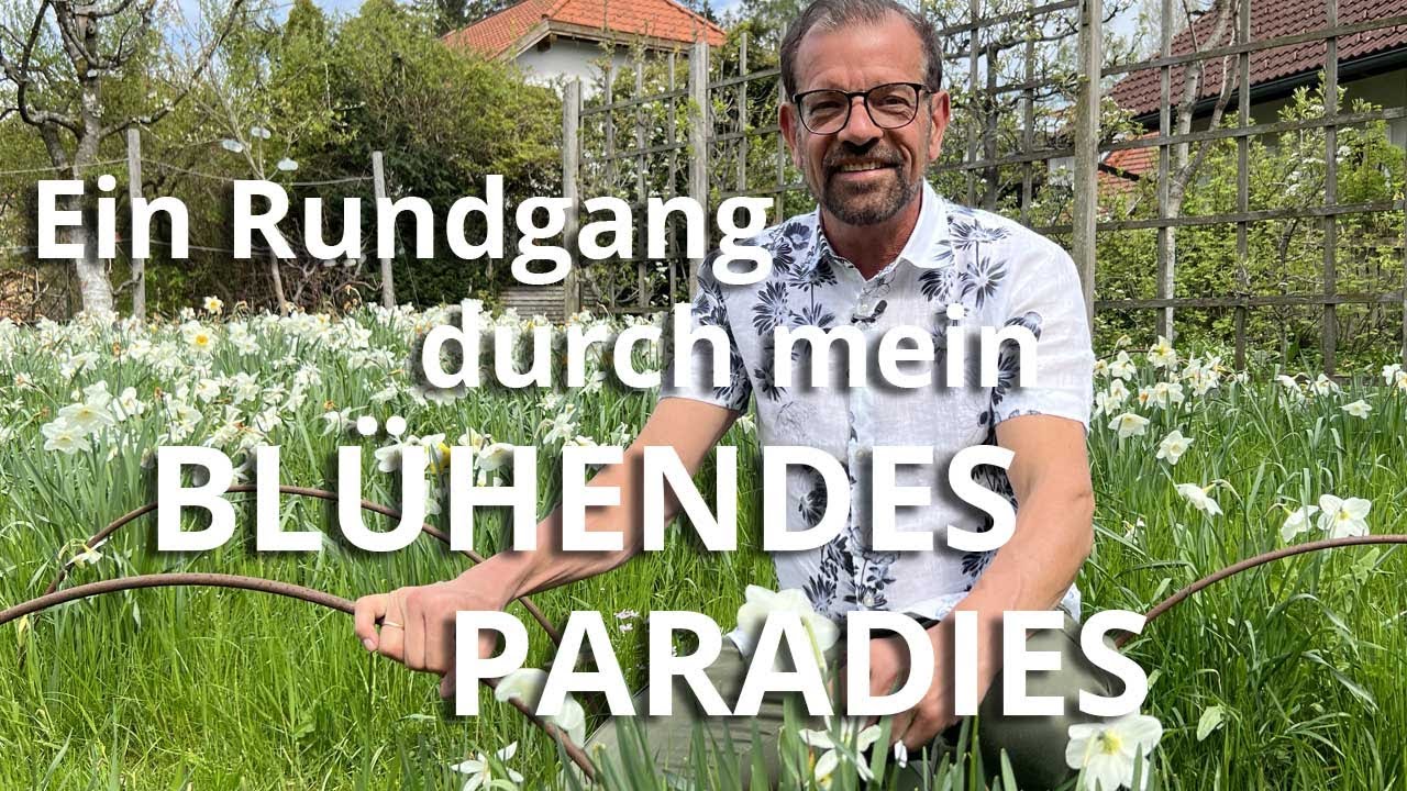 Ein Rundgang durch mein leuchtendes Gartenparadies