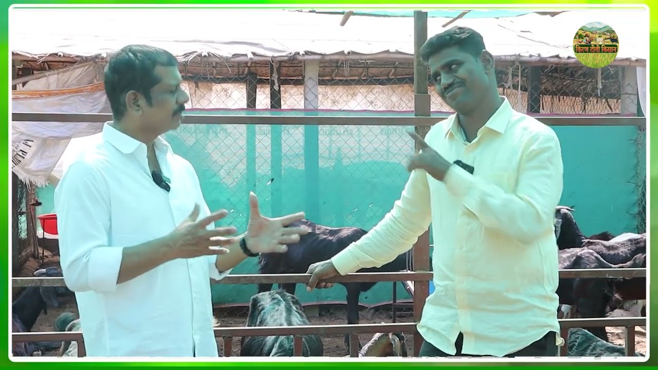 बकरी पालन हर बीमारी, हर नस्ल और सही देखभाल की की संपूर्ण जानकारी| #kirantvkisan #video #farm #goat