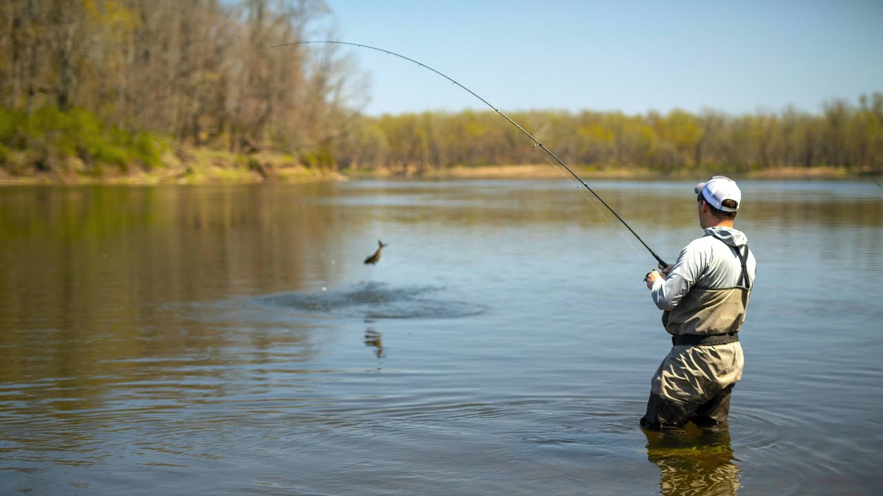 Catching American Shad on the Delaware River | S16 E1