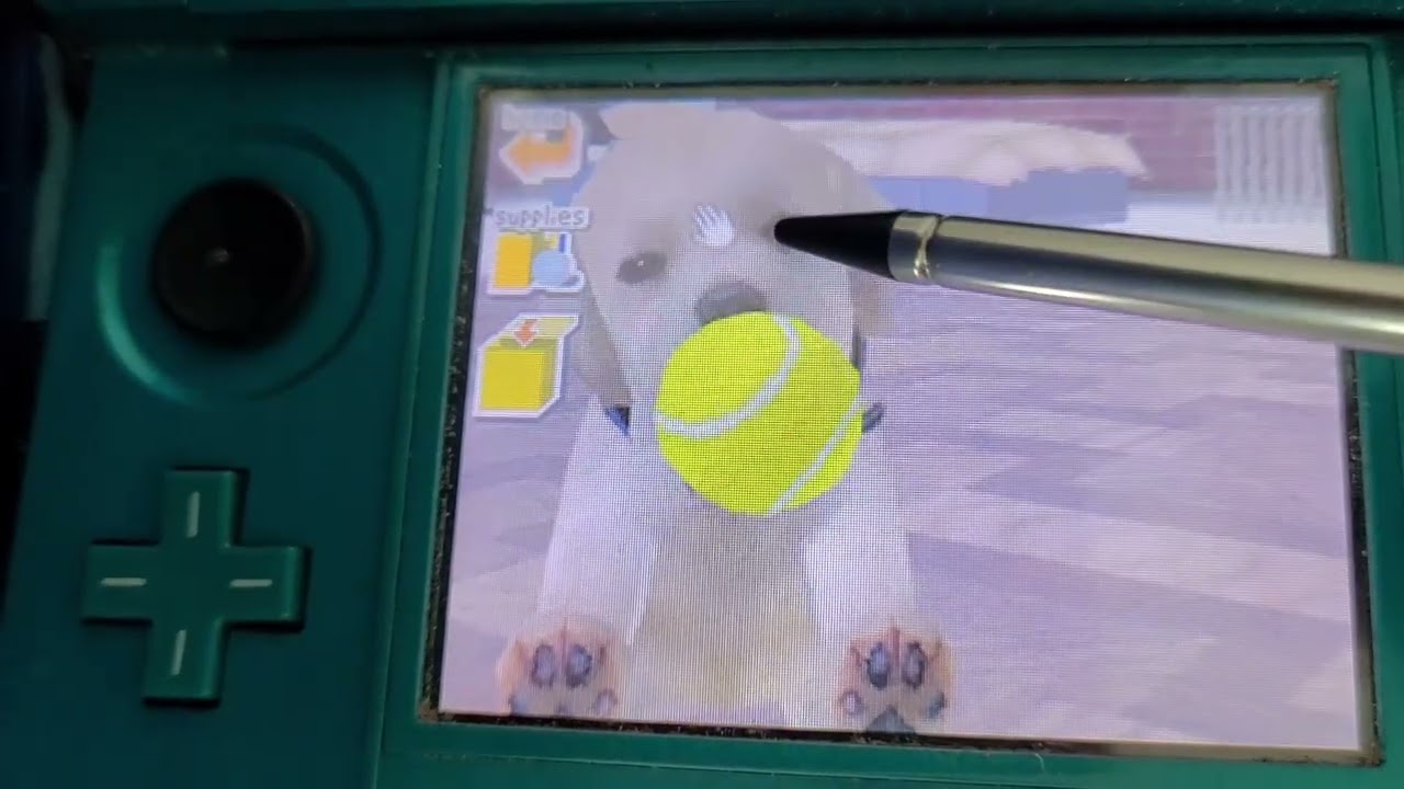 Nintendogs - Playing With Omar