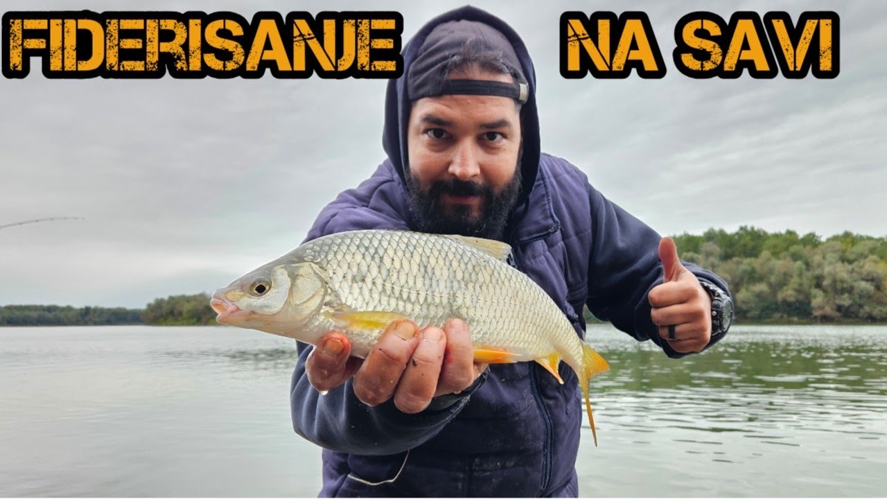 Feeder pecanje na Savi