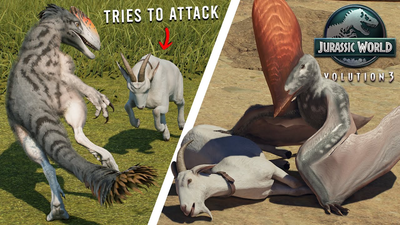 ALL CARNIVORES killing the GOAT animations 🐐💥 - Jurassic World Evolution 3