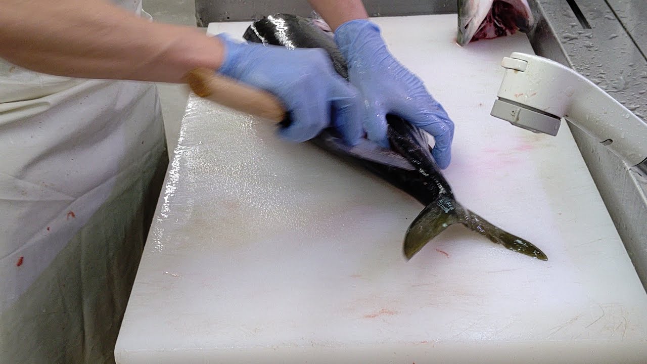 【魚の調理】養殖ぶりの刺身柵加工