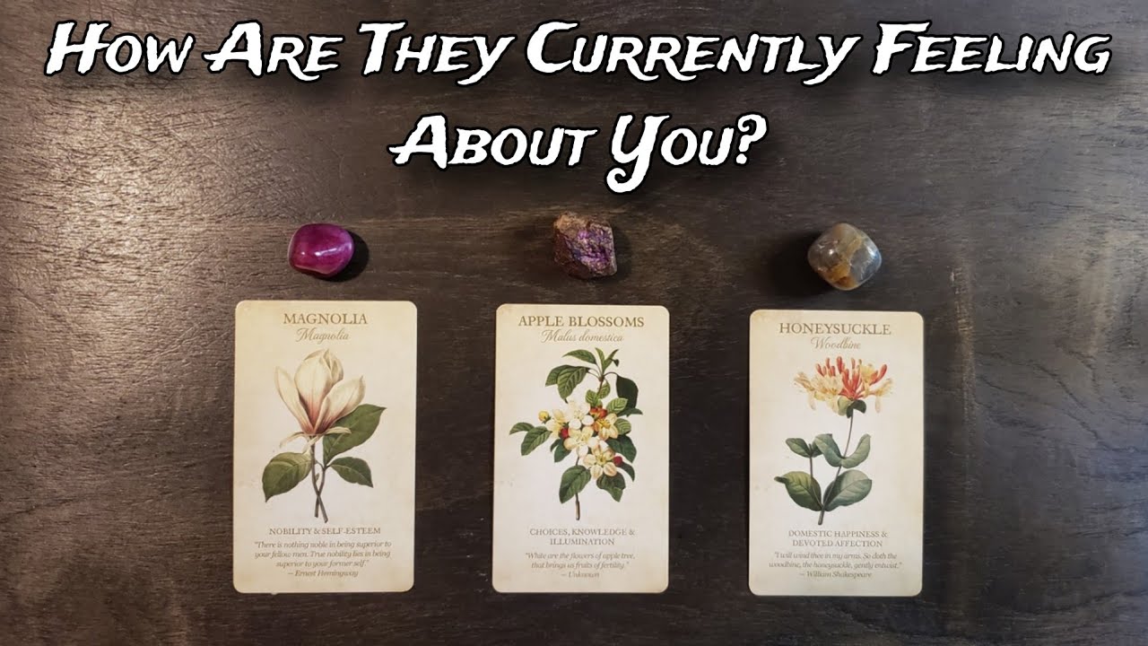 😻💕 How Are They Currently Feeling About You? 💕🌟  Pick A Card Love Reading