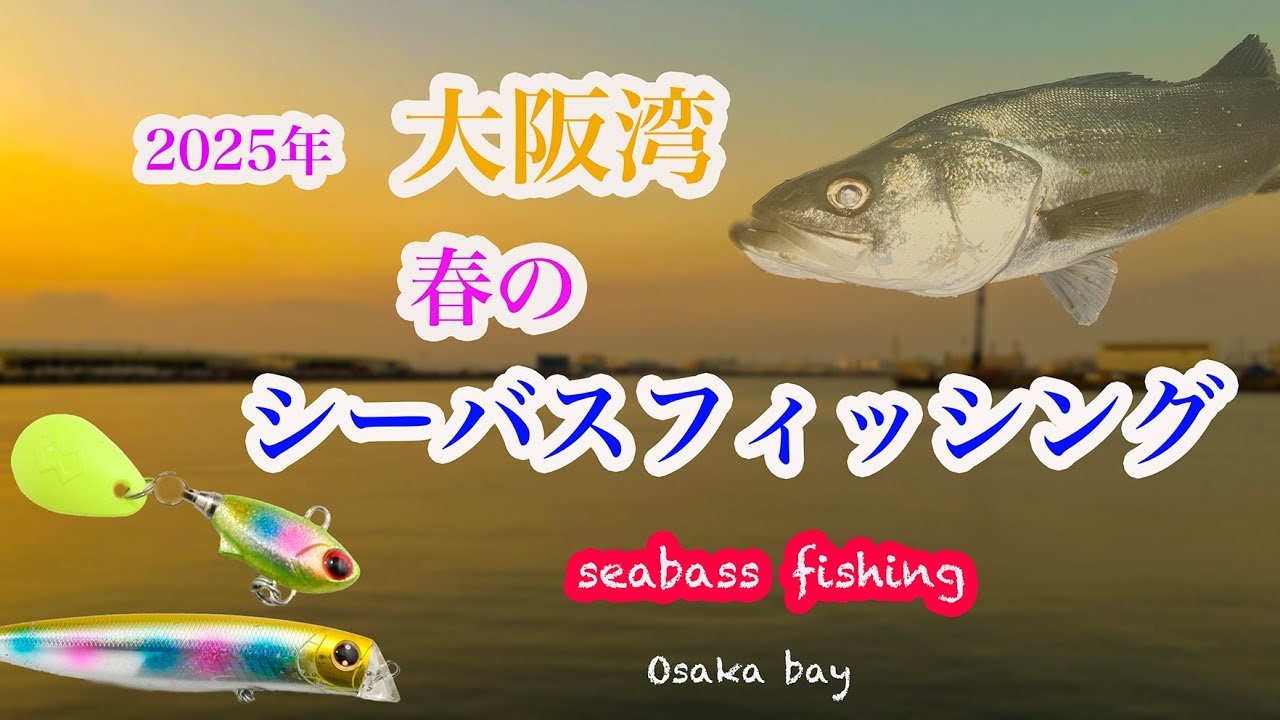 [大阪湾 春のシーバスフィッシング2025]  マイクロベイトパターン