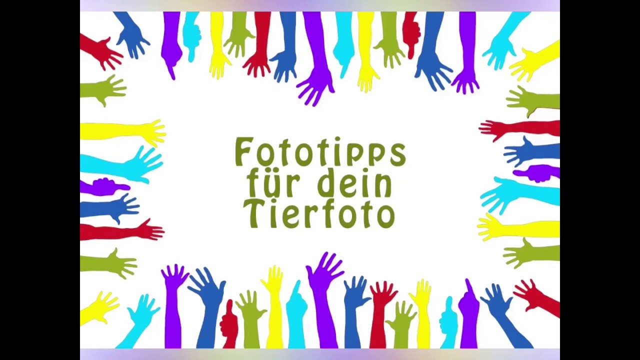 Fototipps f&uuml;r dein Tierfoto