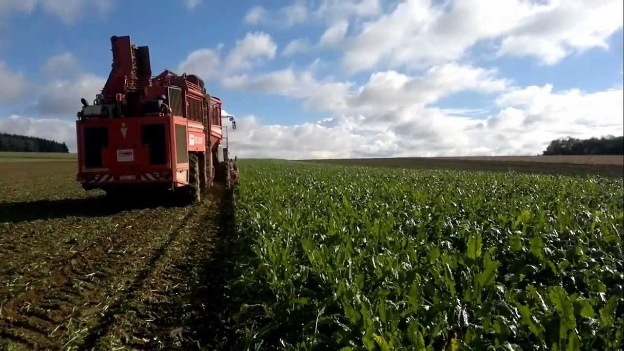 Holmer Terra-Dos T3 : Arrachage betteraves par l'ETA Lefèvre