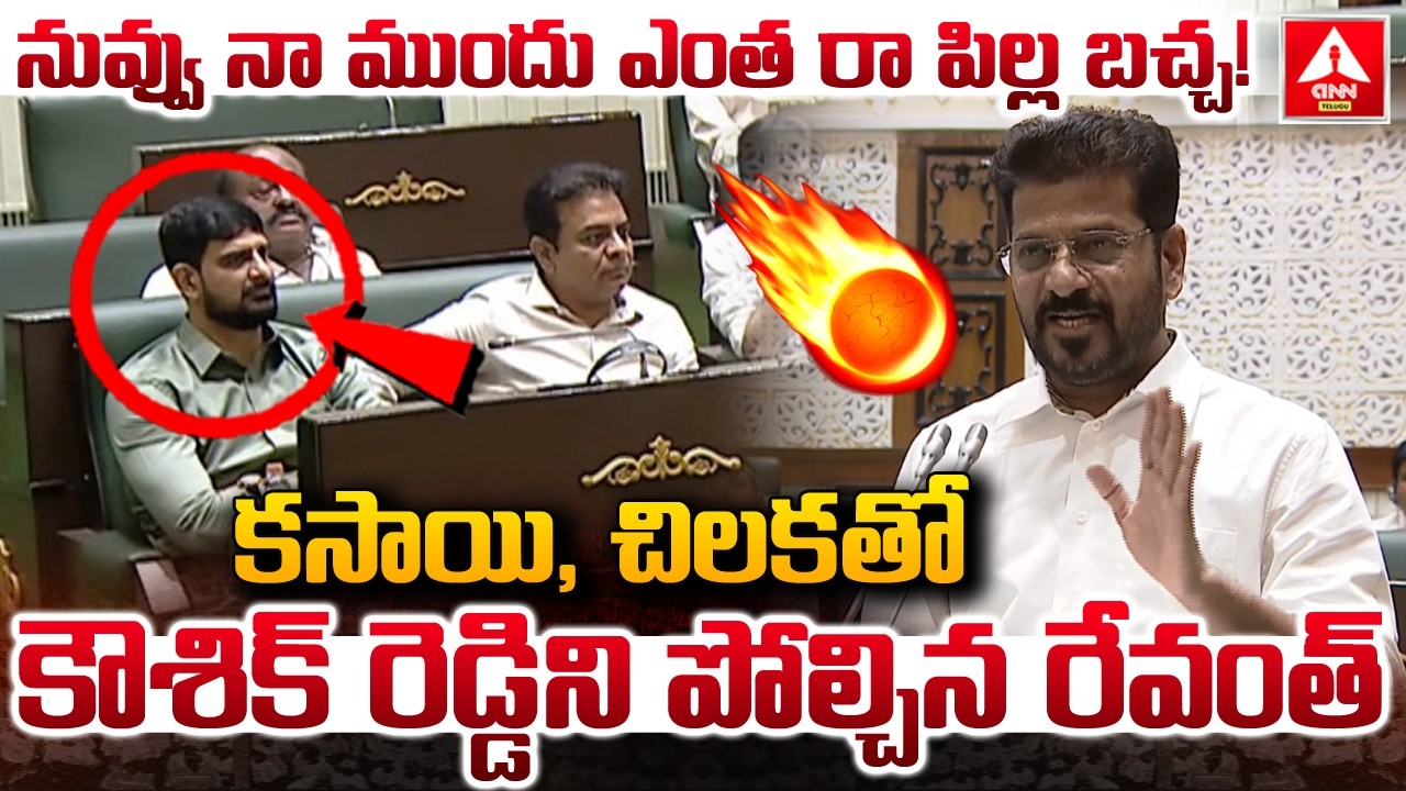 కసాయి, చిలకతో కౌశిక్ రెడ్డి ని పోల్చిన రేవంత్..! | CM Revanth Reddy Mass Comments on kaushik Reddy