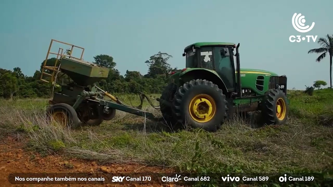 Mombak e o reflorestamento da Amazônia