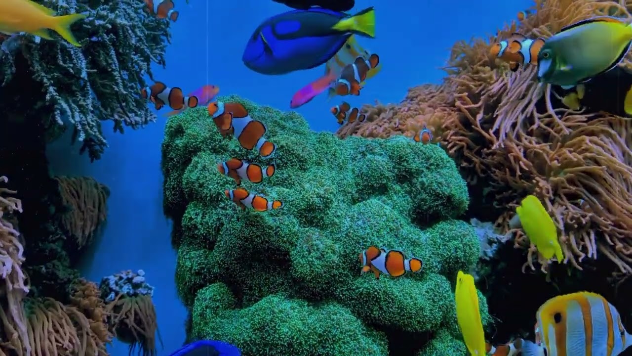 🌊 Deep Blue Focus | 10-Minute Underwater Relaxation & Pomodoro Study Aid 🎧💙