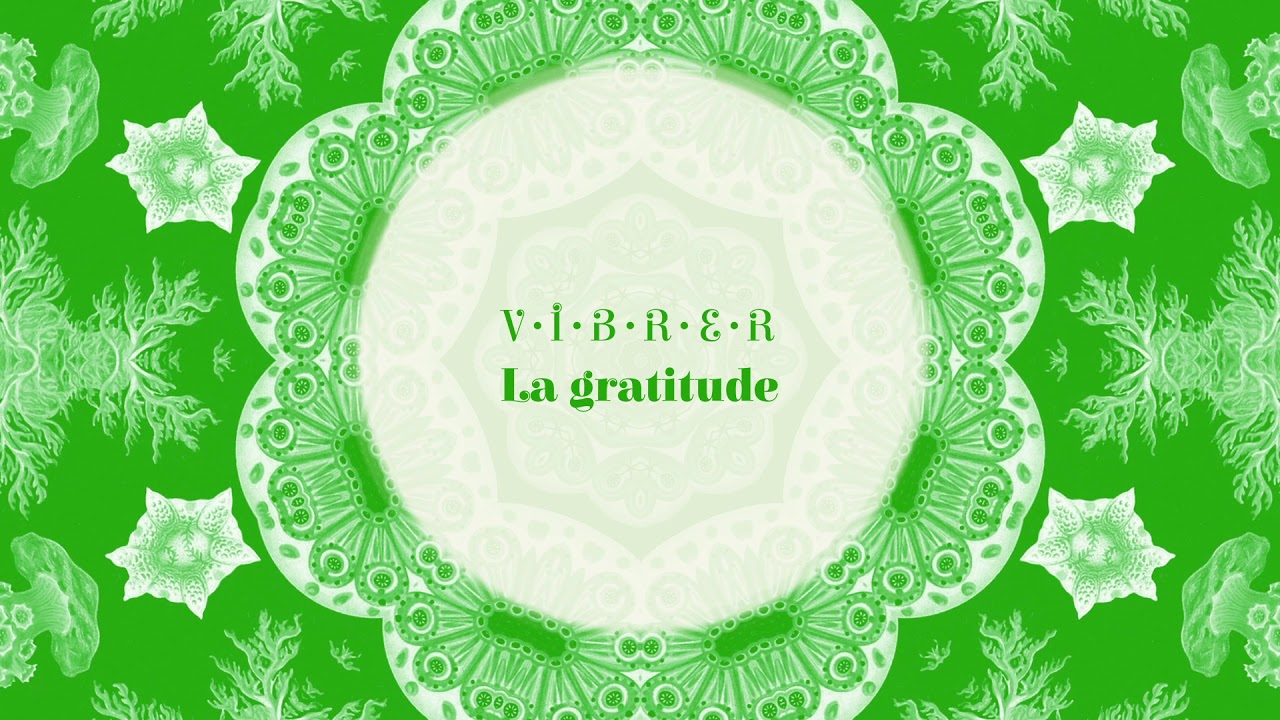 Vibrer la Gratitude ~ Activation Vibratoire (musique méditative)