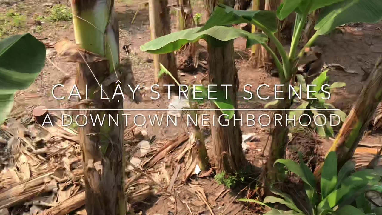 R2V Shorts 004 Cai Lay Street Scenes: A Downtown Neighborhood