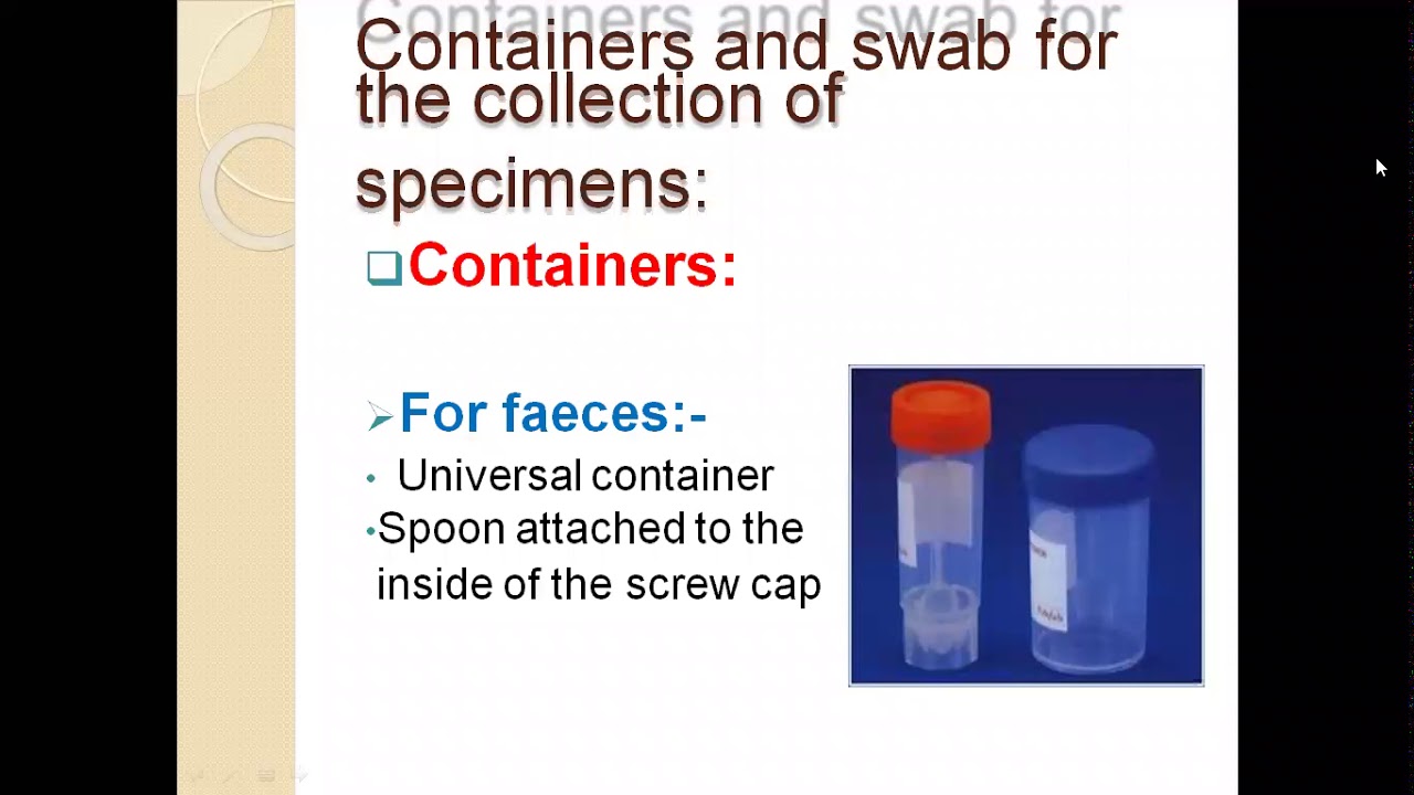 collection, handling and transportation of samples to the lab