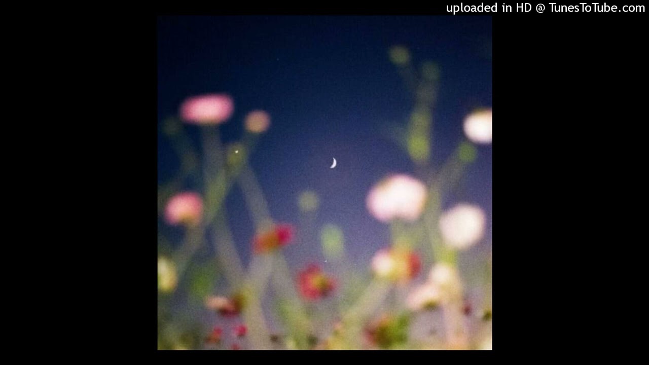 [FREE] The Marias x Indie x Dream Pop Type Beat - 