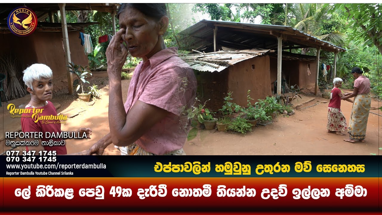 ලේ කිරිකළ පෙවු 49ක දැරිවී නොතමී තියන්න උදව් ඉල්ලන අම්මා || Reporter Dambulla || Kumara Ihalagedara