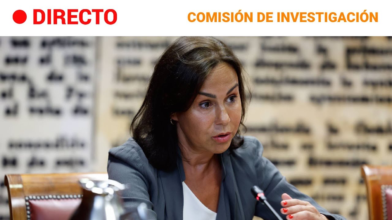 CASO KOLDO: PARDO de VERA se acoge a su DERECHO de NO DECLARAR en el SENADO tras su IMPUTACIÓN |RTVE