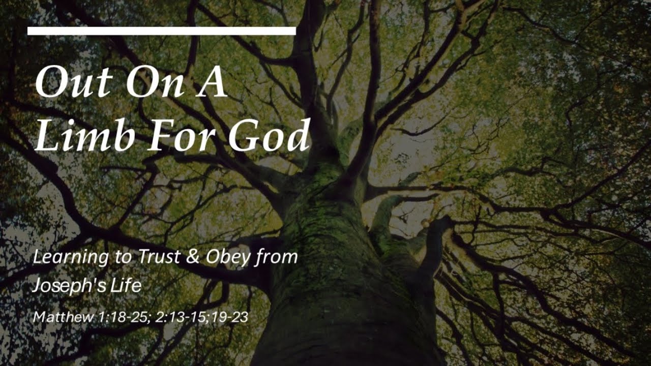 Out On A Limb For God