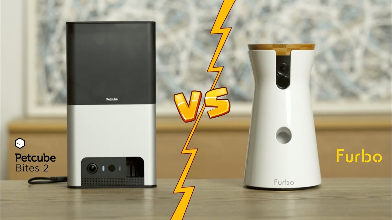 Petcube Bites 2 vs Furbo: Two of The Best Pet Cameras Tested & Compared 💯