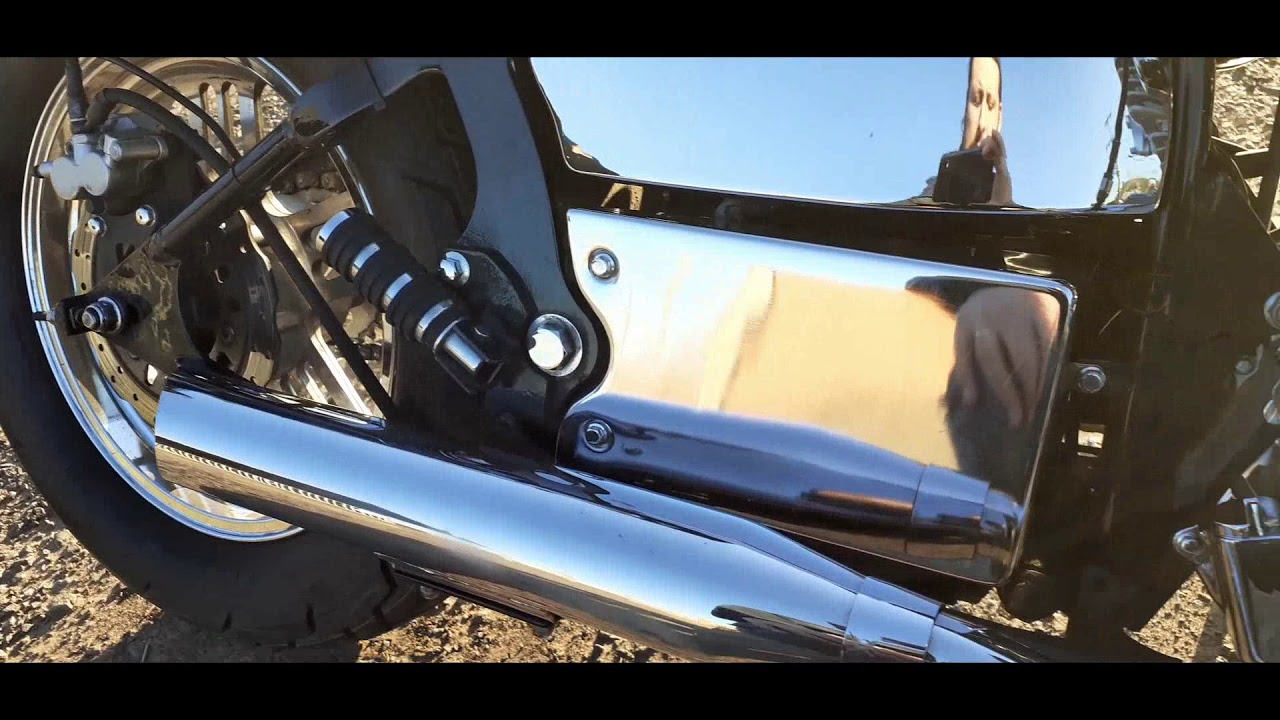 Regal Raptor - Adaptações com Sucesso!