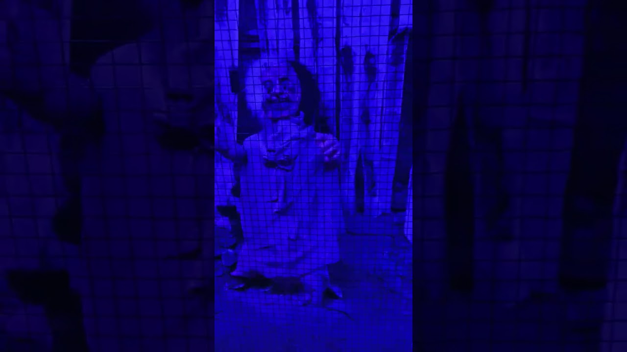 Bhoot 🧟🧟🧟‍♀️🧟‍♀️