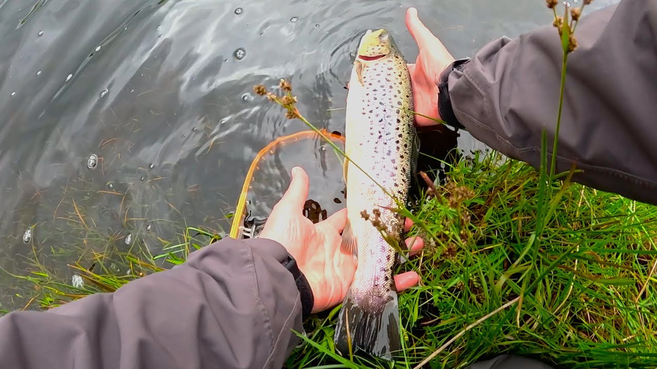 Fishing a Small Loch in the Galloway Hills with Davie McPhail