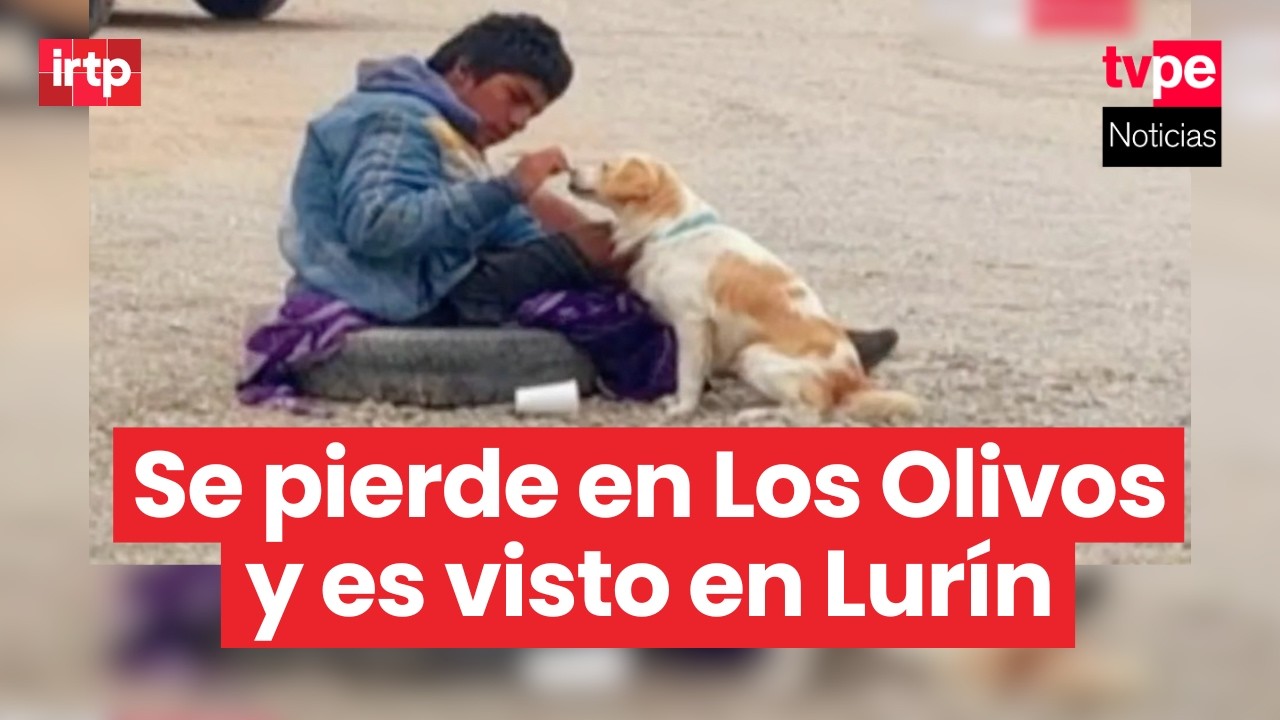 Se pierde en Los Olivos y es visto en Lurín: madre busca desesperadamente a su hijo con autismo