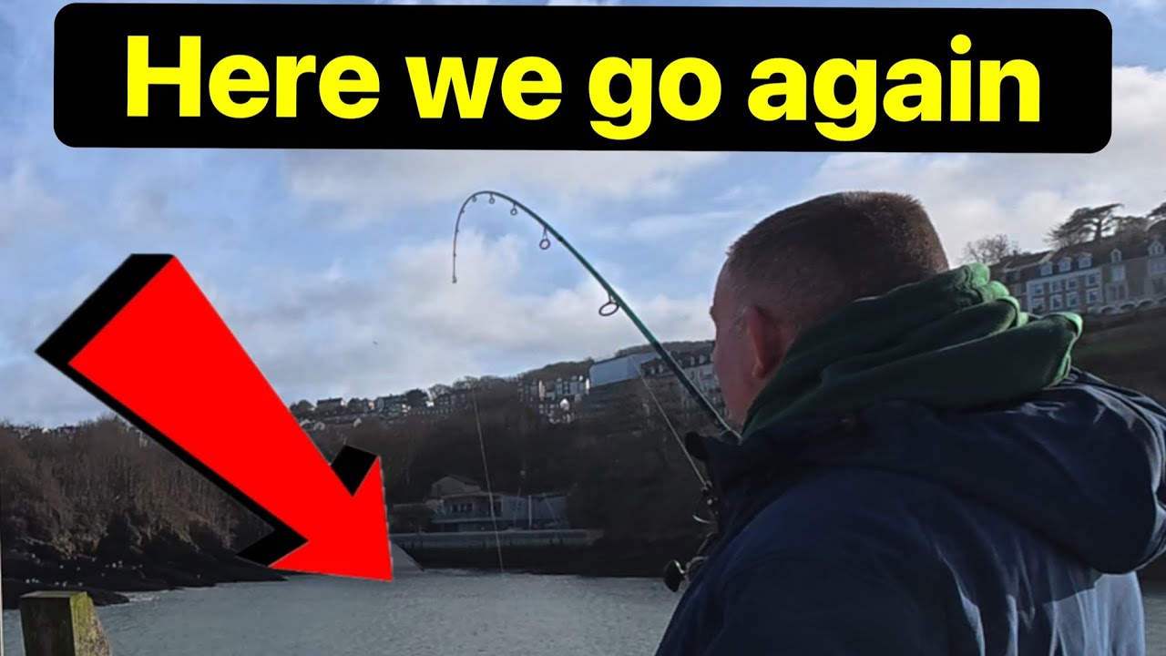 Why oh why . Uk sea fishing . North Devon sea fishing 