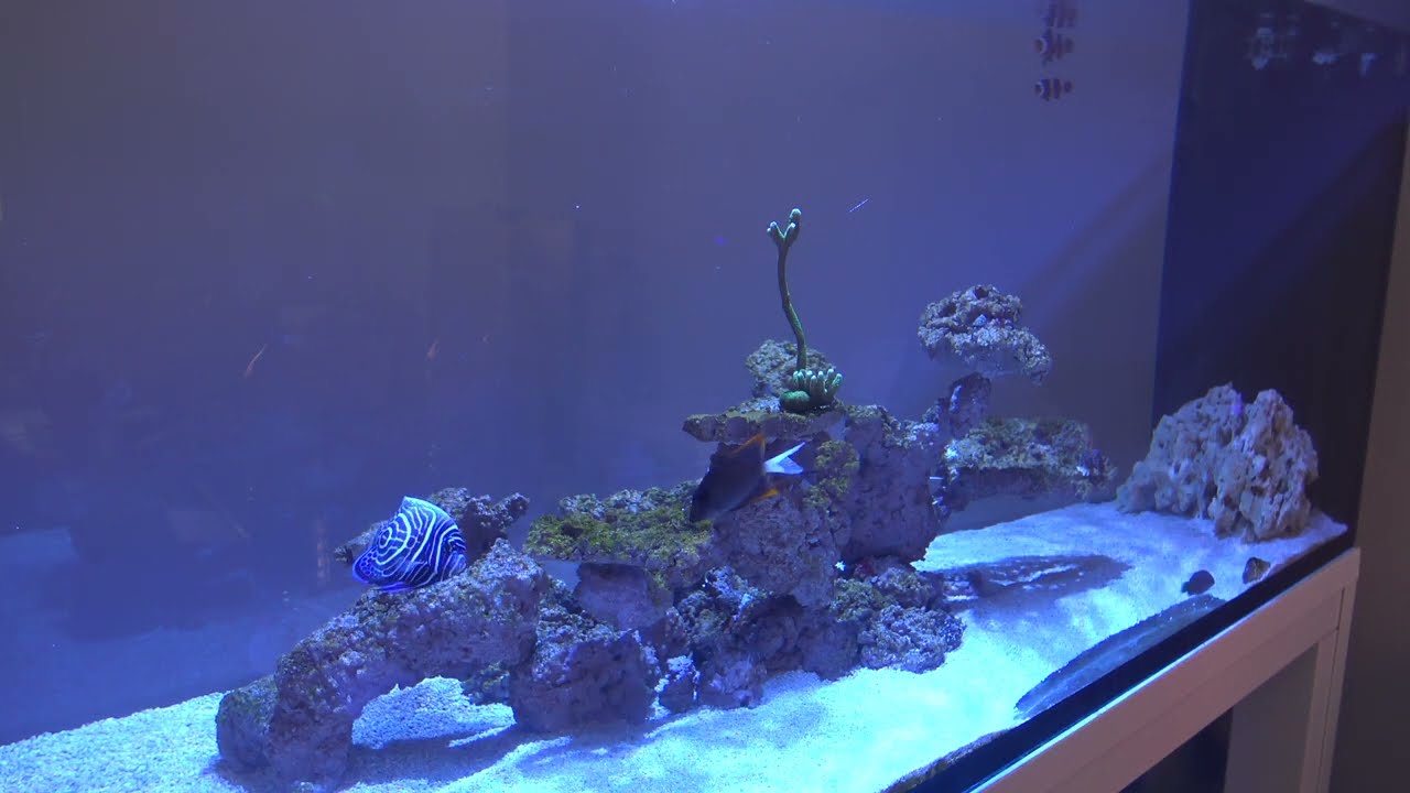 Estamos de vuelta...