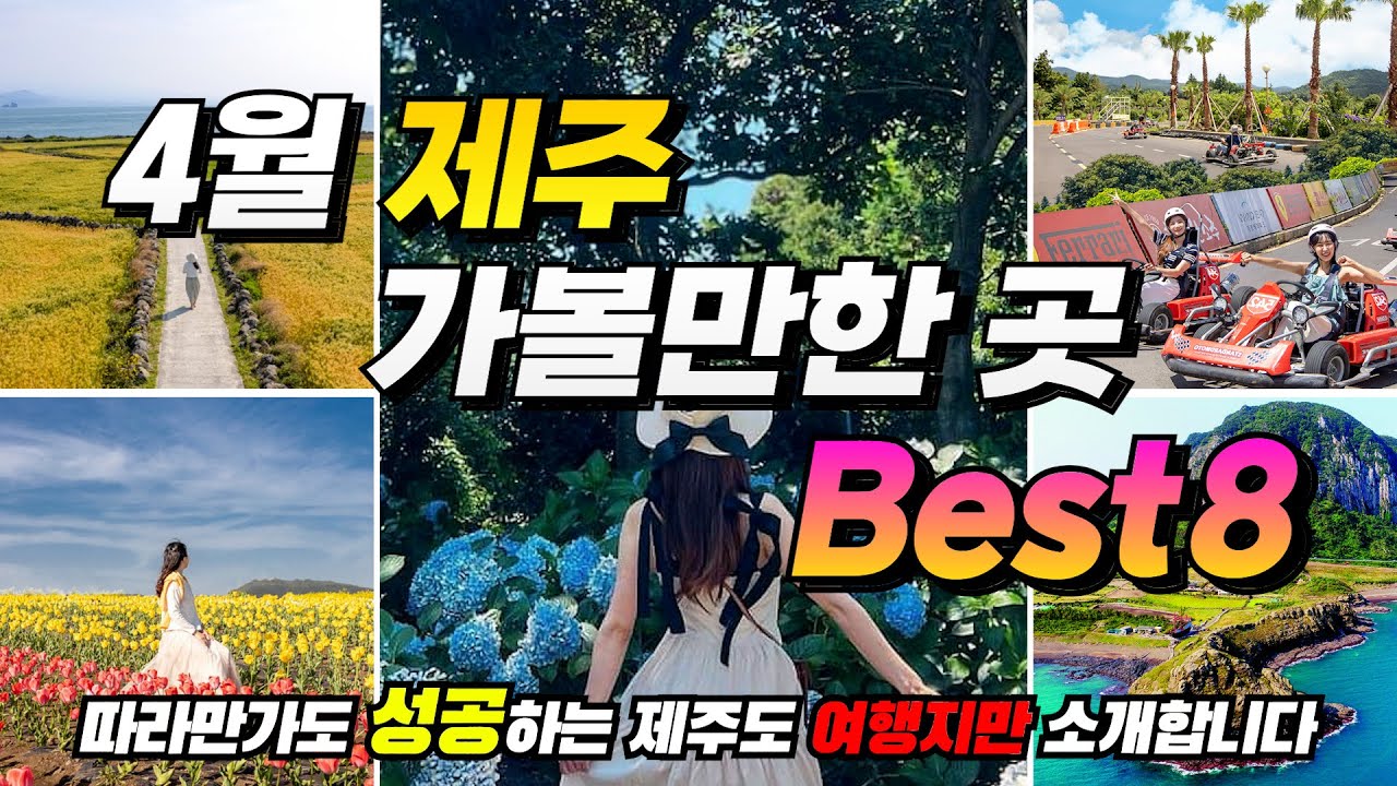 4월 제주도 가야하는 이유! l 제주도 가볼만한 곳 BEST8(+꿀팁,명소추천)