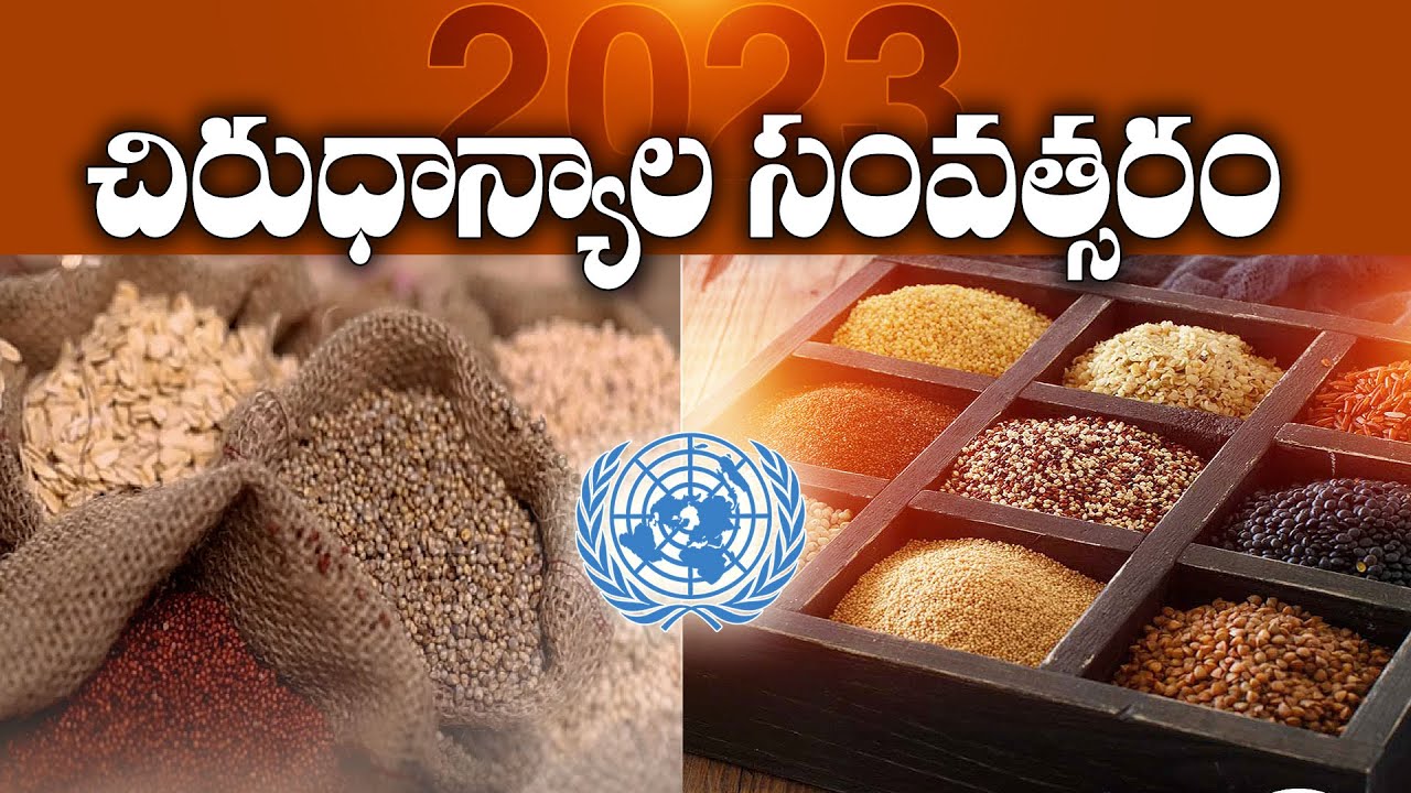 International Year of Millets 2023 | What Is India's Position in Millets Products? || Idi Sangathi