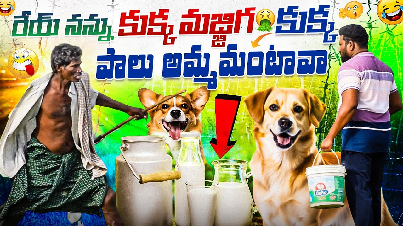 నన్ను కుక్క మజ్జిగ 😂కుక్క పాలు అమ్మమంటావా 👌ఫన్నీ ప్రాంక్!!AR PRANK BOYS🙏