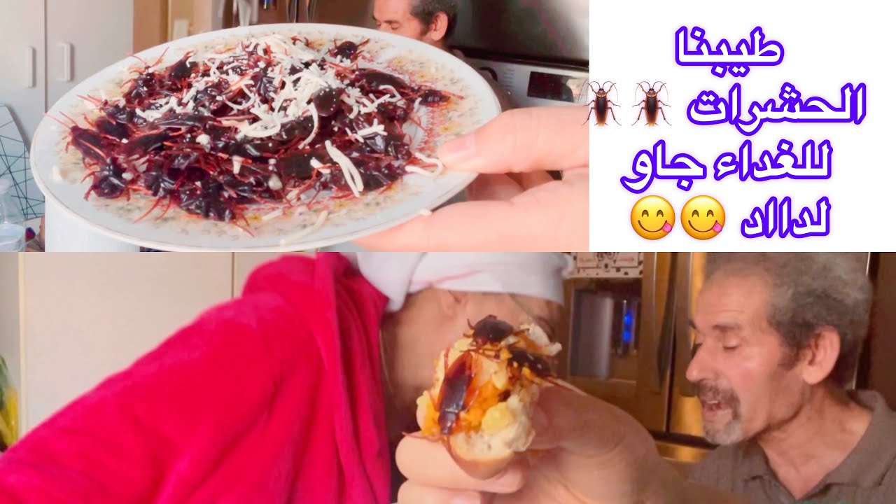 Prankبدينا ناكلو الحشرات فأمريكا#الزعبيلة بغات طجج 🙈🤣🤣