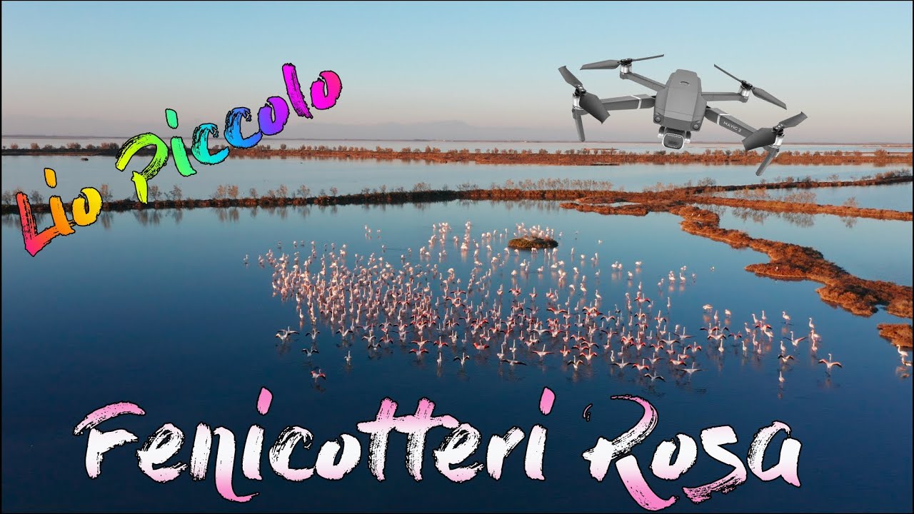 MAVIC 2 PRO - 4K - Lio Piccolo (Laguna di Venezia) - il paradiso dei fenicotteri rosa