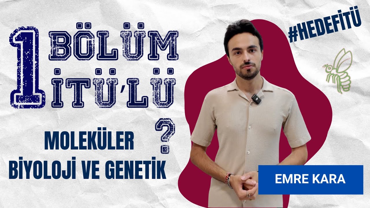 Bir B&ouml;l&uuml;m Bir İT&Uuml;'l&uuml; | Molek&uuml;ler Biyoloji ve Genetik 🐝
