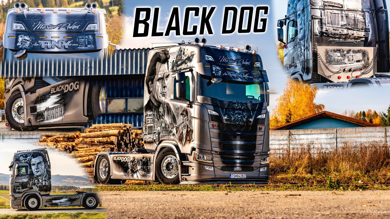 WALKAROUND: Scania 540S 