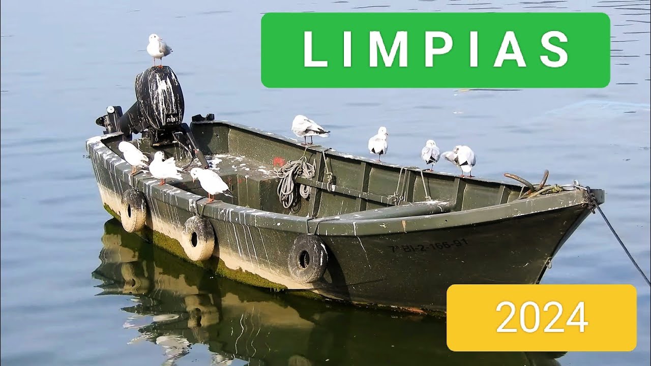 LIMPIAS 2024