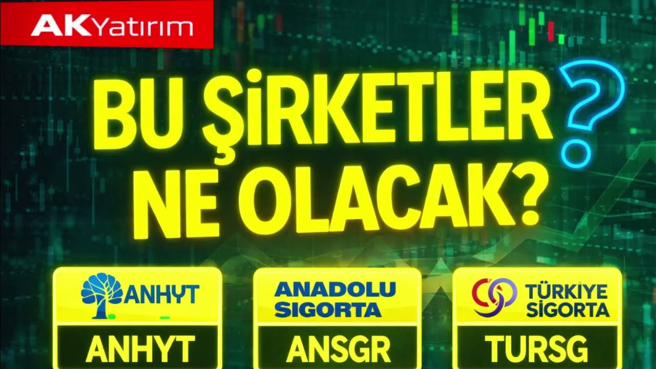 ANHYT &ndash; ANSGR &ndash; TURSG | AK Yatırım Sigorta Sekt&ouml;r&uuml; Raporu