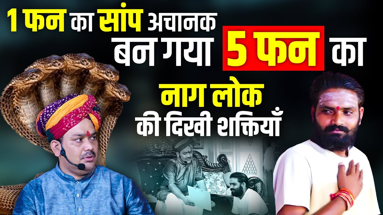 एक फन का साँप अचानक बन गया पाँच फन का पूरा दरबार हुआ हैरान | Pandokhar Sarkar Ka Chamatkar