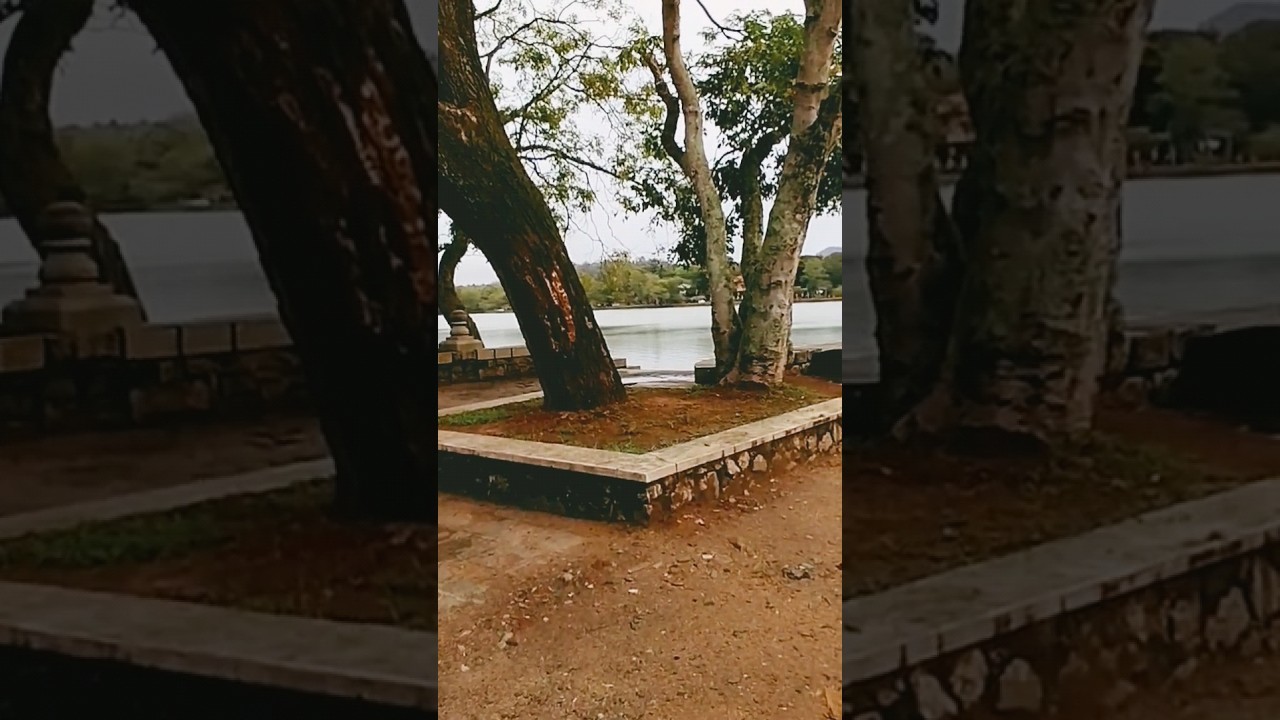 beautiful lake in kurunegala 🏞️🏞️ #shorts #lake #trending #srilanka