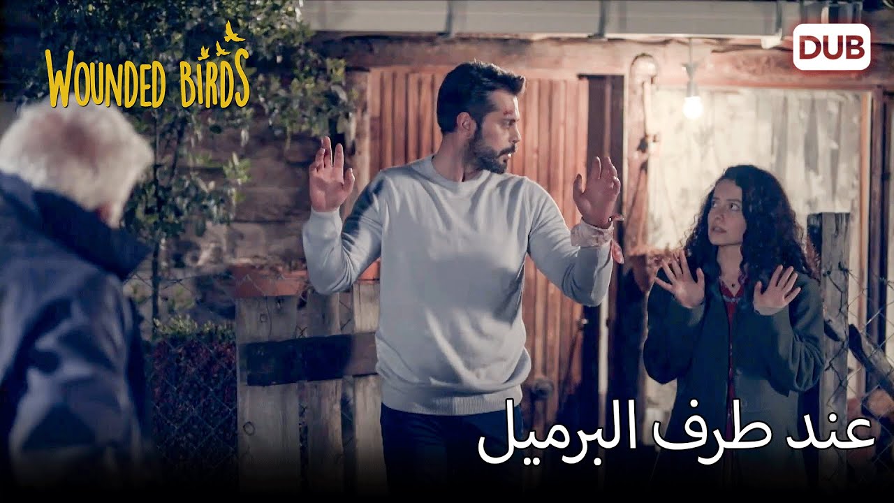 هم في نهاية البرميل. | الطيور المجروحة 33