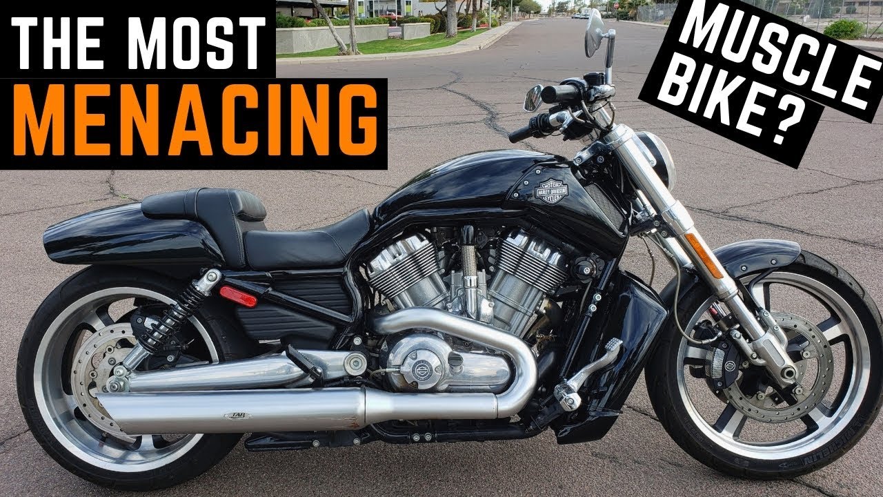 Craigslist Find: Most Menacing Muscle Bike? Harley V-Rod Muscle Test Ride, Review, First Impressions