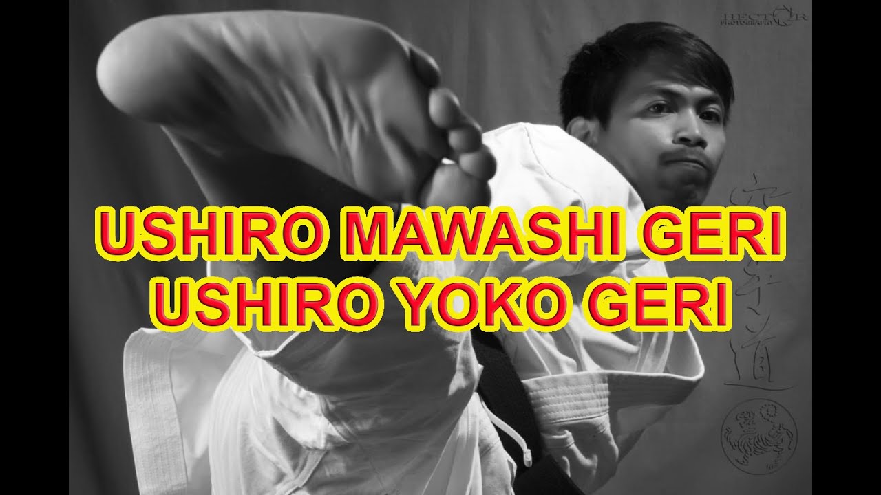 USHIRO MAWASHI GERI/USHIRO YOKO GERI
