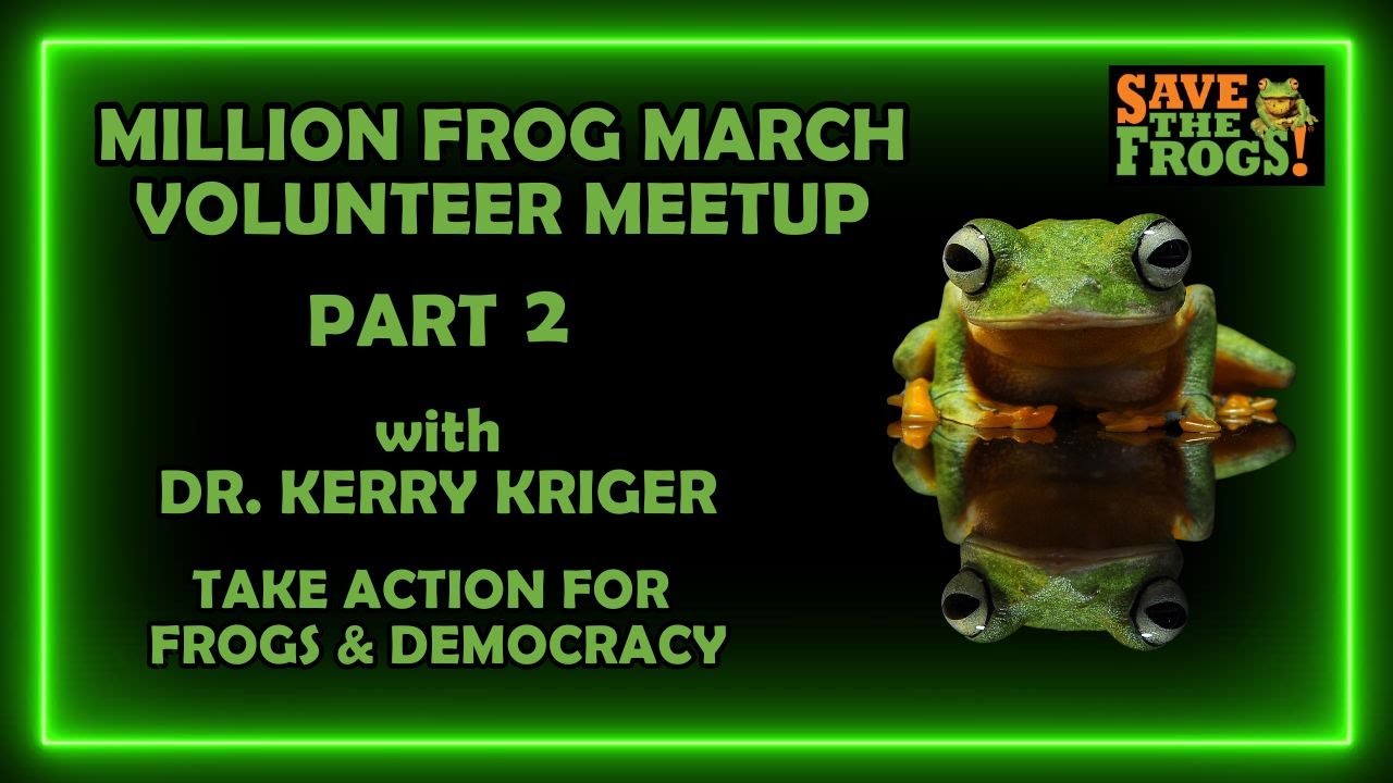 Million Frog March | Volunteer Meetup | November 11th, 2025
