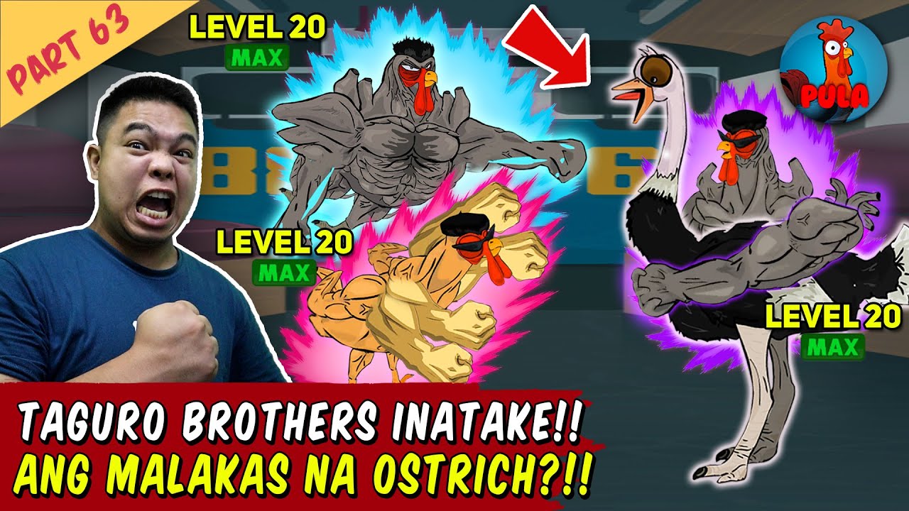 Lahat ng Taguro Inatake Ang Ostrich! - Manok na Pula Part 63