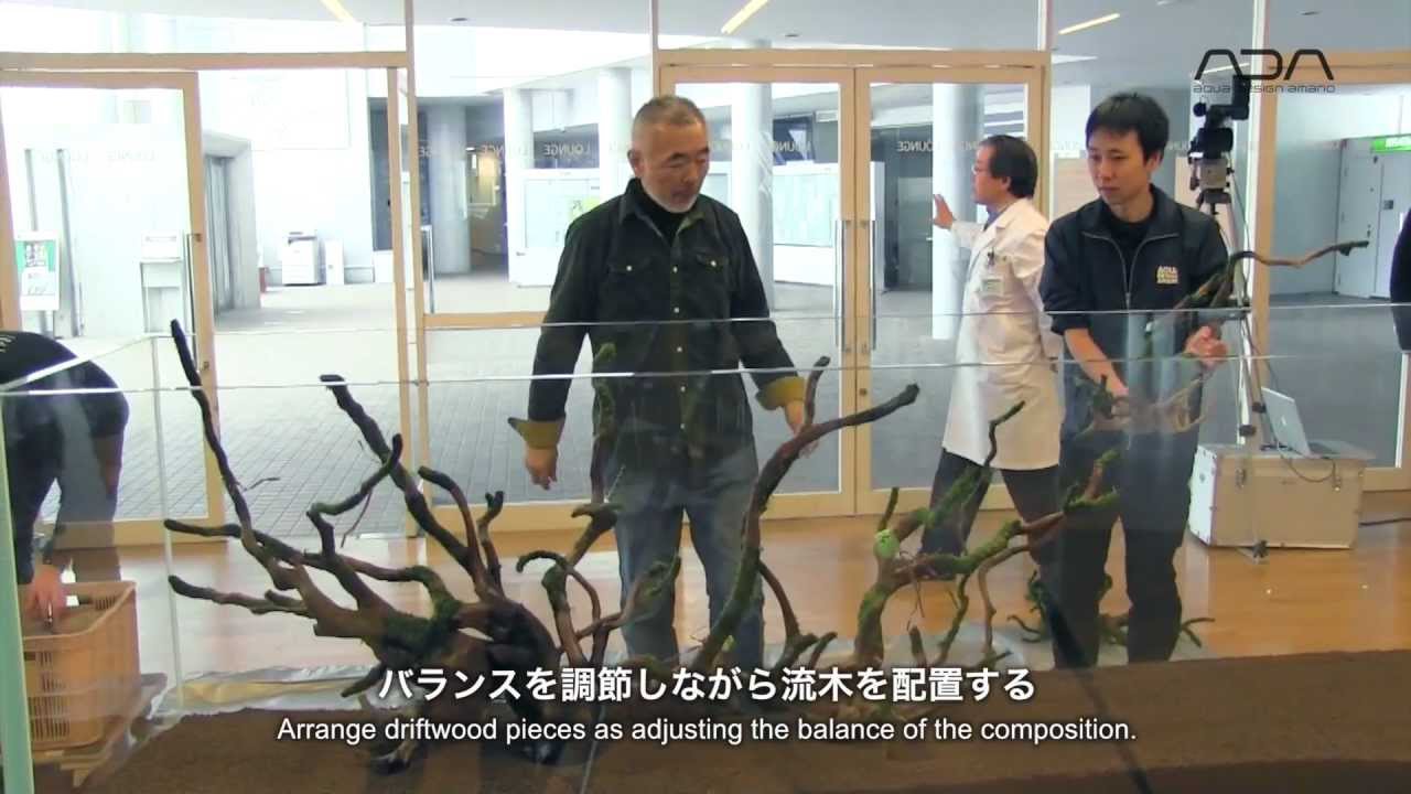 [ADAview] 新潟薬科大学 2m40cm水槽レイアウト制作(english sub)
