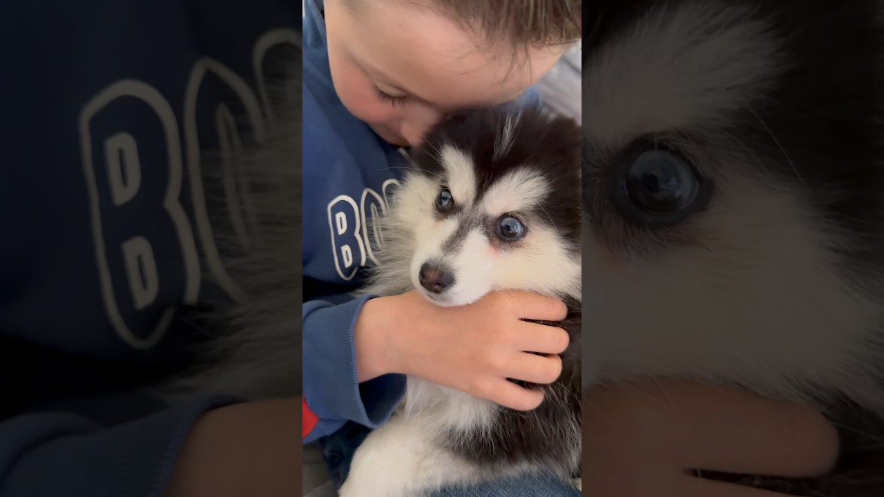 Grosse surprise pour Mathis 🤯🐶